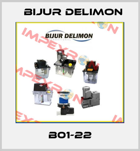 B01-22 Bijur Delimon