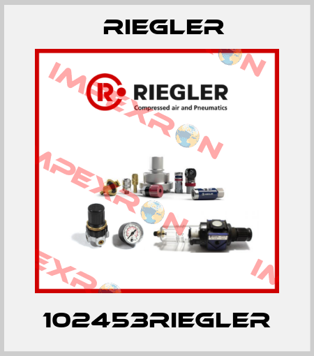 102453RIEGLER Riegler