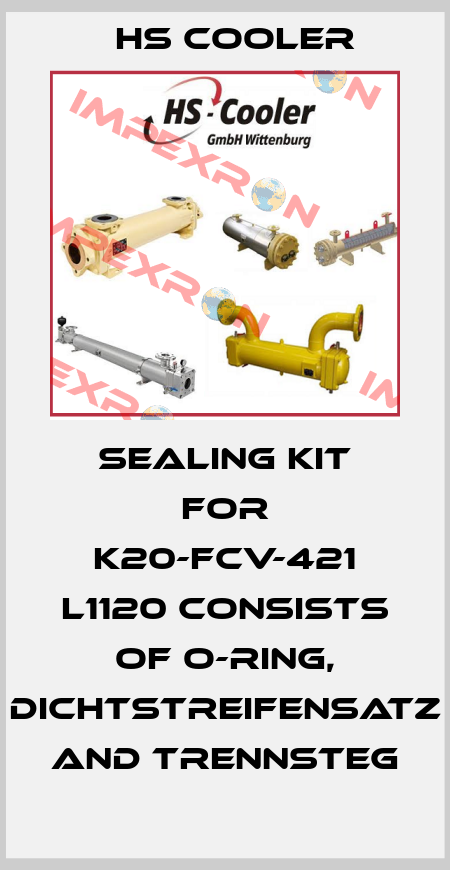 Sealing kit for K20-FCV-421 L1120 consists of O-Ring, Dichtstreifensatz and Trennsteg HS Cooler