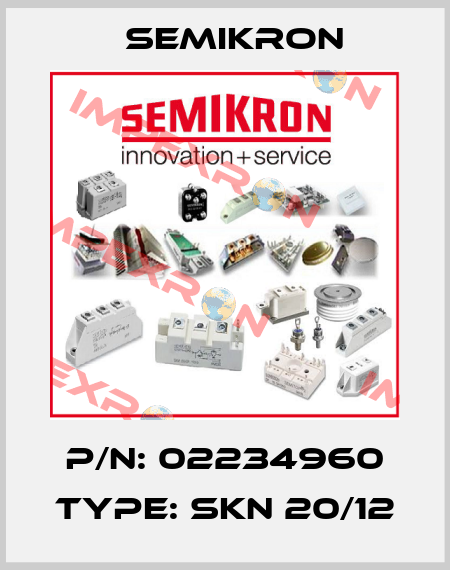 P/N: 02234960 Type: SKN 20/12 Semikron