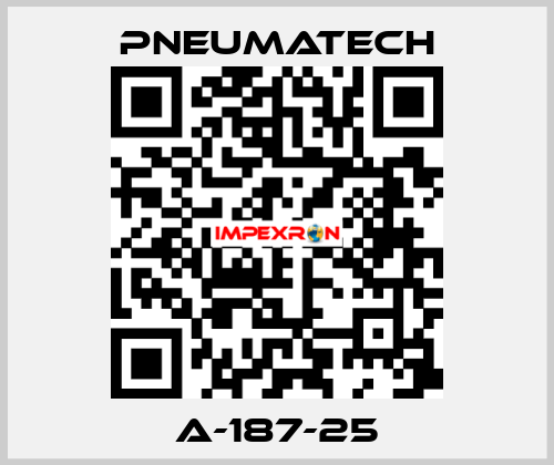 A-187-25 Pneumatech