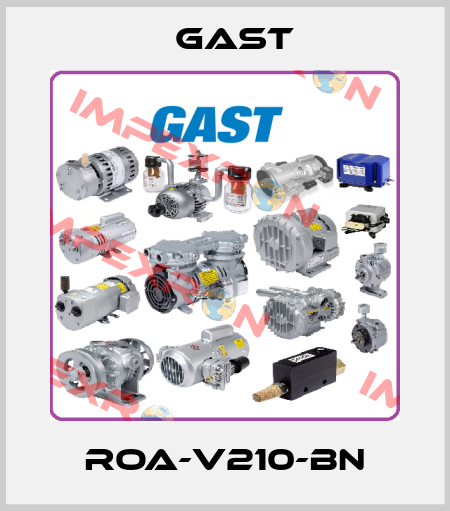 ROA-V210-BN Gast