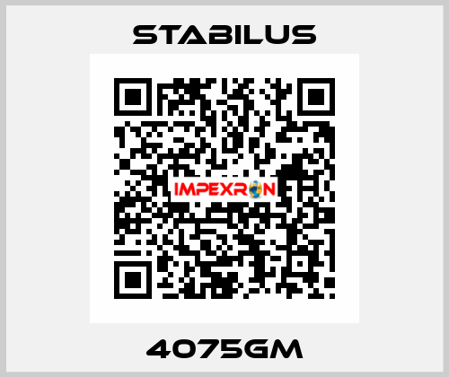 4075GM Stabilus