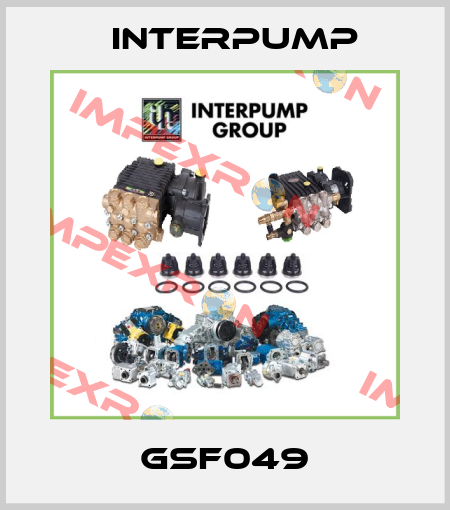 GSF049 Interpump