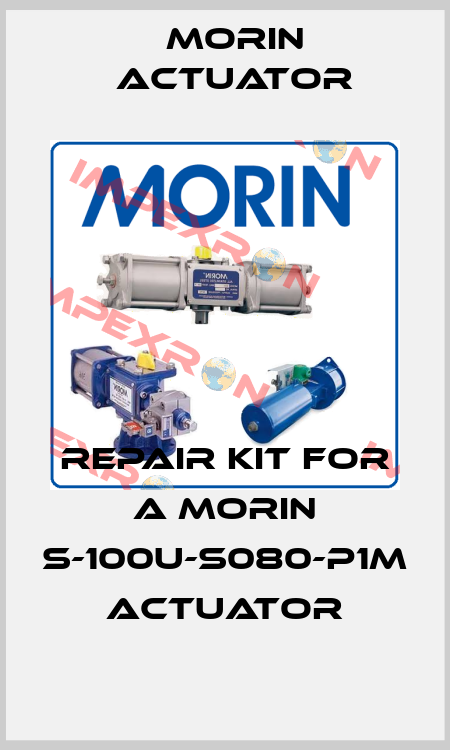 Repair Kit for a Morin S-100U-S080-P1M Actuator Morin Actuator