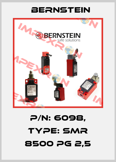 P/N: 6098, Type: SMR 8500 PG 2,5 Bernstein