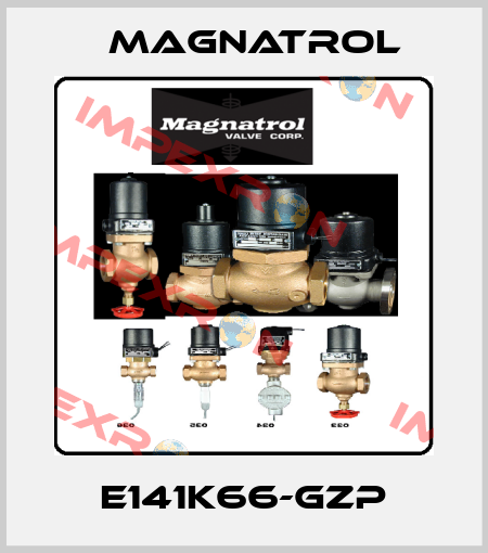 E141K66-GZP Magnatrol