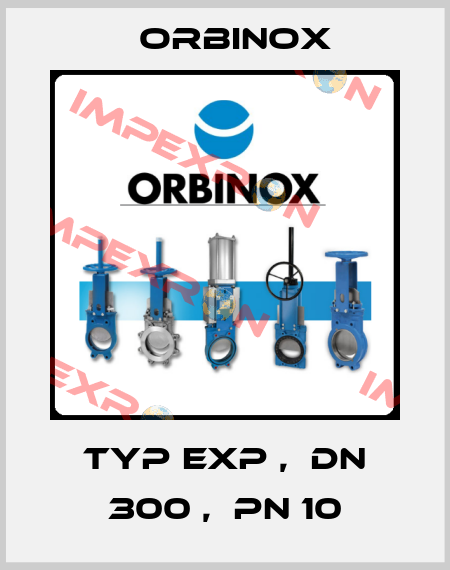 Typ EXP ,  DN 300 ,  PN 10 Orbinox