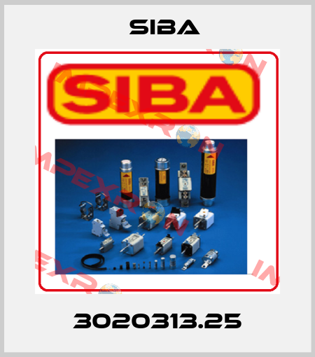 3020313.25 Siba