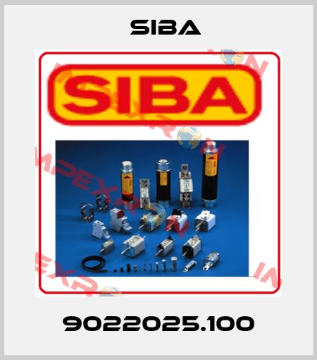 9022025.100 Siba