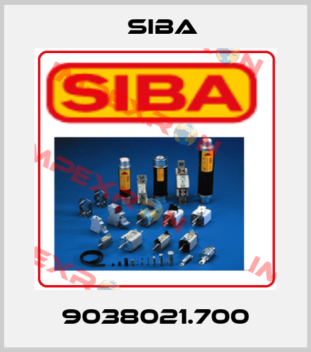 9038021.700 Siba