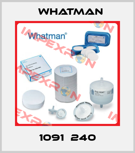 1091­240 Whatman