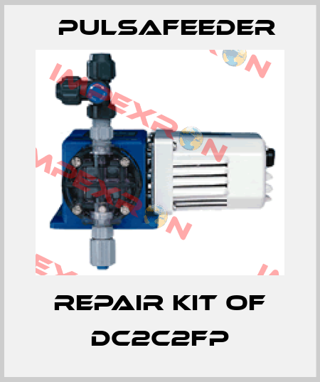 Repair kit of DC2C2FP Pulsafeeder