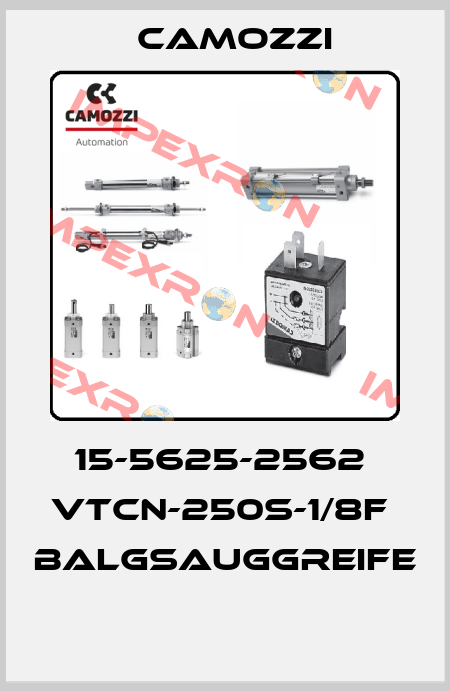 15-5625-2562  VTCN-250S-1/8F  BALGSAUGGREIFE  Camozzi