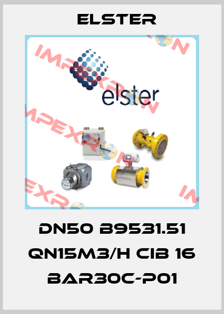 DN50 B9531.51 Qn15m3/h CIB 16 bar30c-P01 Elster