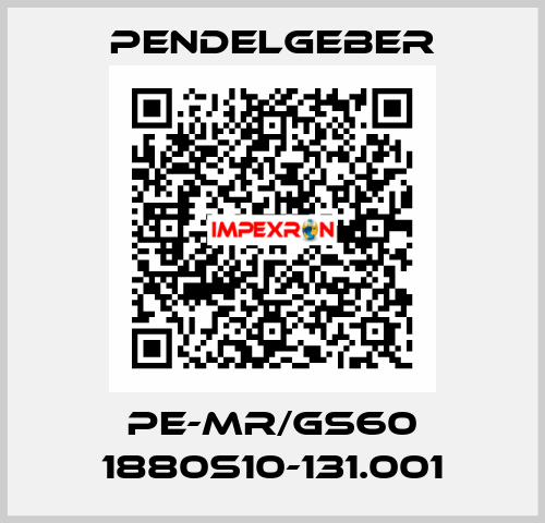 PE-MR/GS60 1880S10-131.001 Pendelgeber