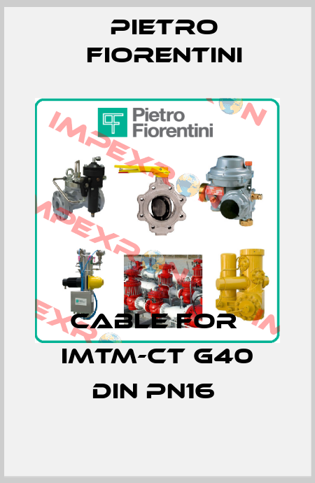 cable for  iMTM-CT G40 DIN PN16  Pietro Fiorentini