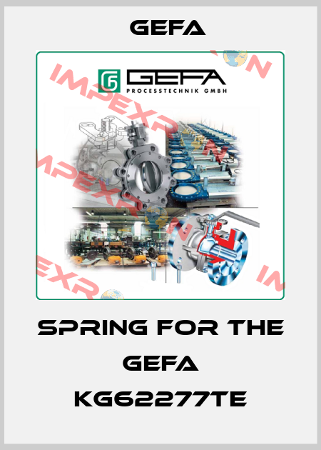 Spring for the GEFA KG62277TE Gefa
