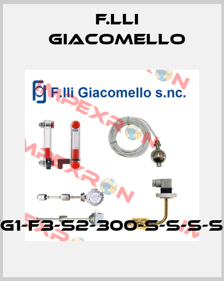 RL/G1-F3-S2-300-S-S-S-S-S-1 F.lli Giacomello