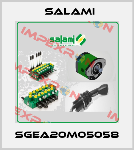 SGEA20M05058 Salami