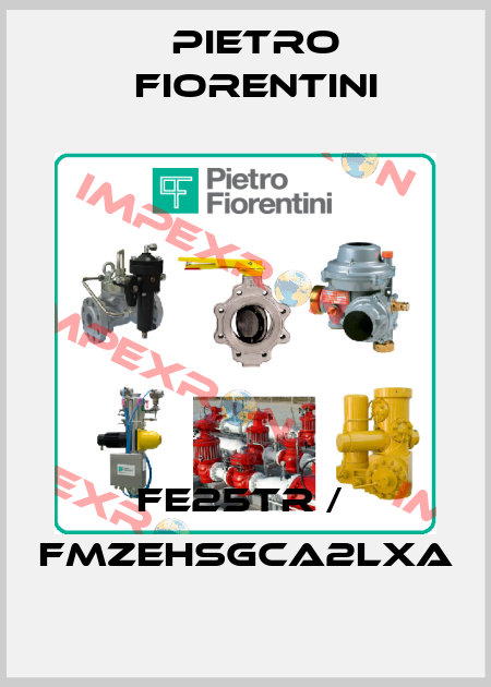FE25TR /  FMZEHSGCA2LXA Pietro Fiorentini