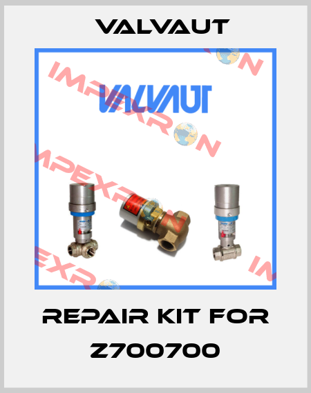 Repair kit for Z700700 Valvaut