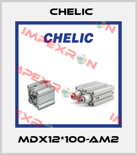 MDX12*100-AM2 Chelic