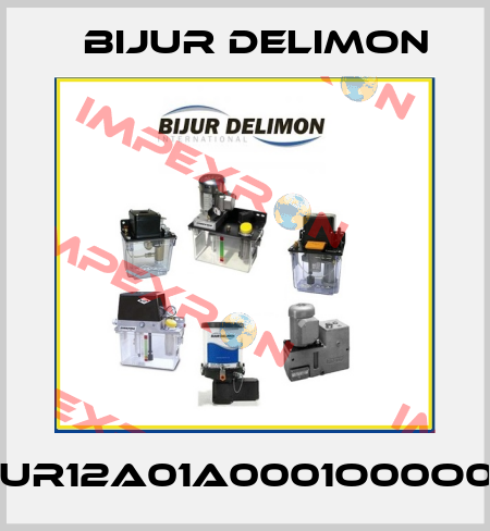 OUR12A01A0001O00O00 Bijur Delimon