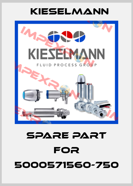 spare part for 5000571560-750 Kieselmann