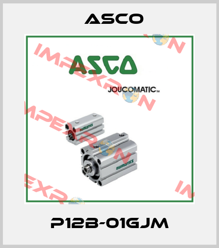 P12B-01GJM Asco