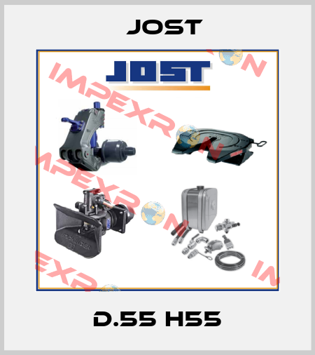 D.55 H55 Jost