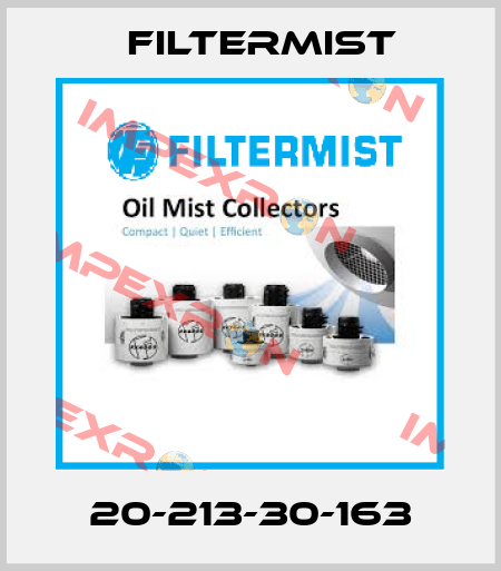 20-213-30-163 Filtermist