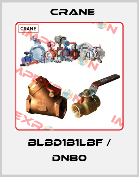 BLBD1B1LBF / DN80 Crane