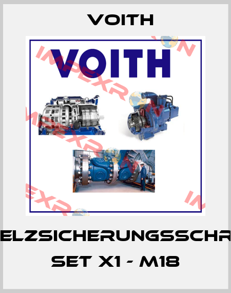 Schmelzsicherungsschraube Set X1 - M18 Voith