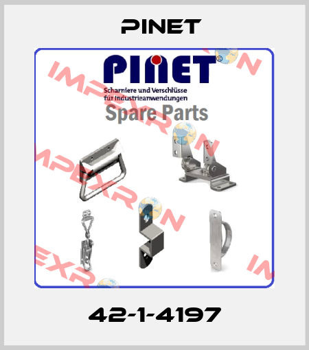 42-1-4197 Pinet