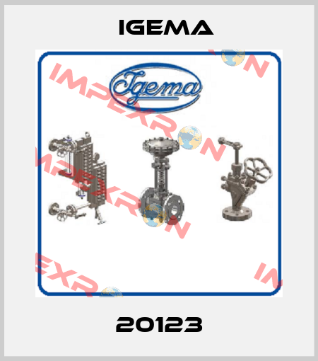20123 Igema