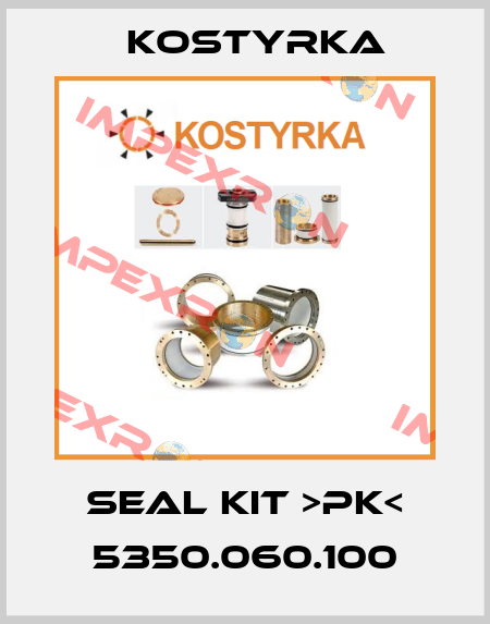 Seal kit >pk< 5350.060.100 Kostyrka