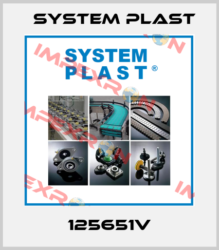 125651V System Plast