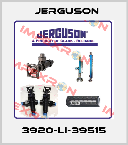 3920-LI-39515 Jerguson