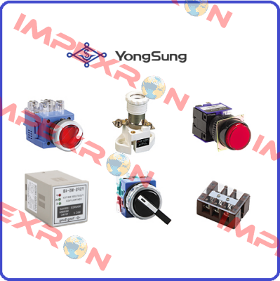 YSPL2-AL22 (AMBER) YongSung Electric