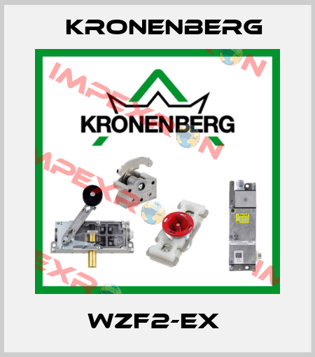 WZF2-EX  Kronenberg