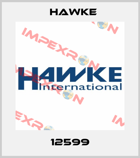 12599 Hawke
