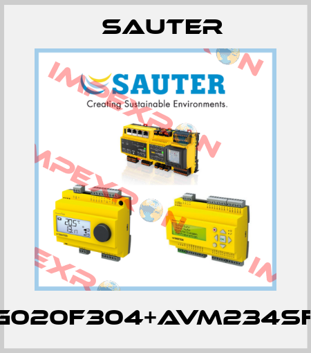 VUG020F304+AVM234SF132 Sauter