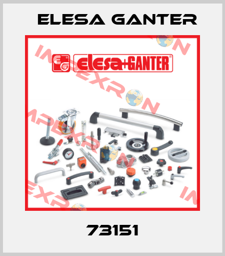 73151 Elesa Ganter
