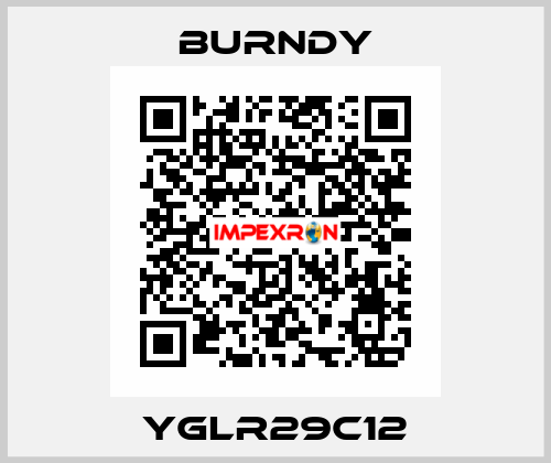 YGLR29C12 Burndy