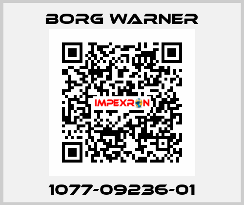 1077-09236-01 Borg Warner