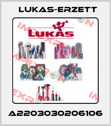 A2203030206106 Lukas-Erzett