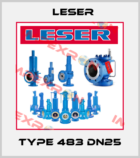 Type 483 DN25 Leser