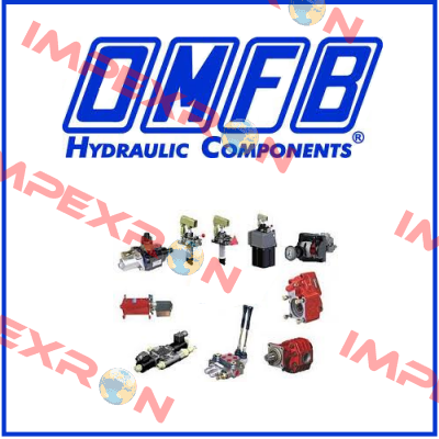 10105070038 OMFB Hydraulic