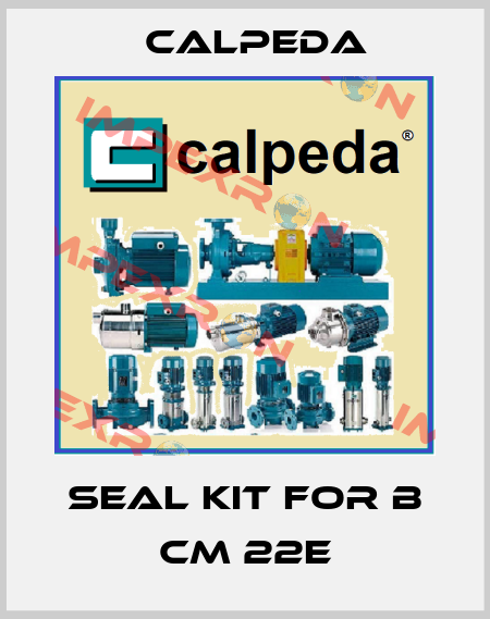 seal kit for B CM 22E Calpeda